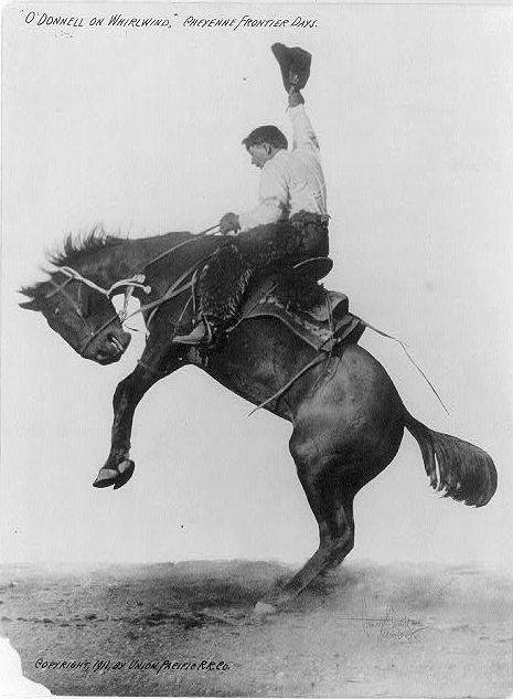 Vintage photo of a cowboy on a bucking bronco