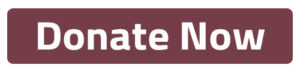 Donate Now button